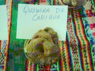 CON ARINA DE CA�IHUA